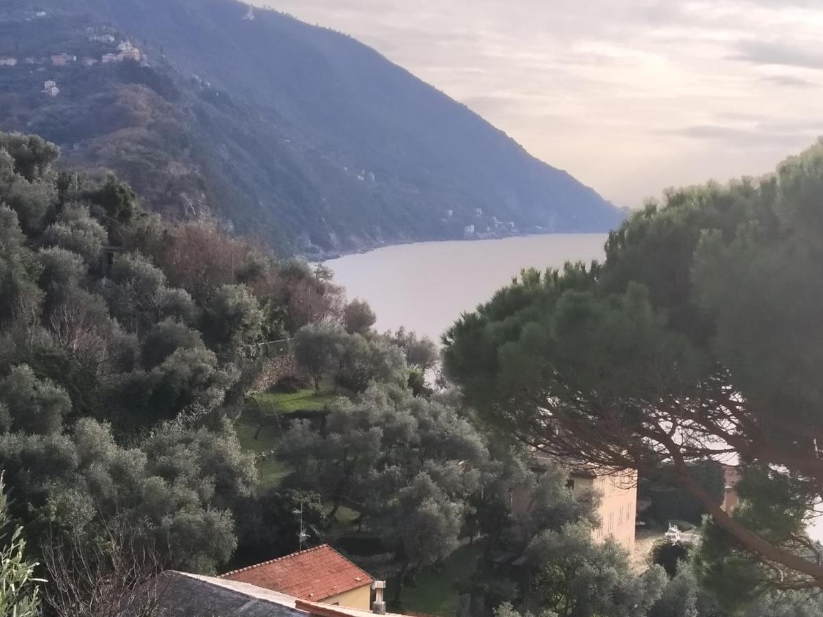 Villa San Prospero كامولّي المظهر الخارجي الصورة
