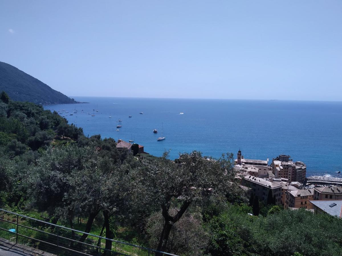 Villa San Prospero كامولّي المظهر الخارجي الصورة